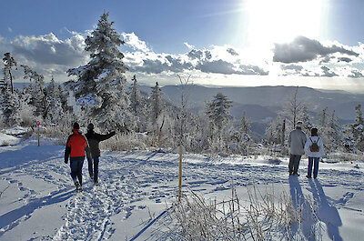 Winterwandern Bayerischer Wald